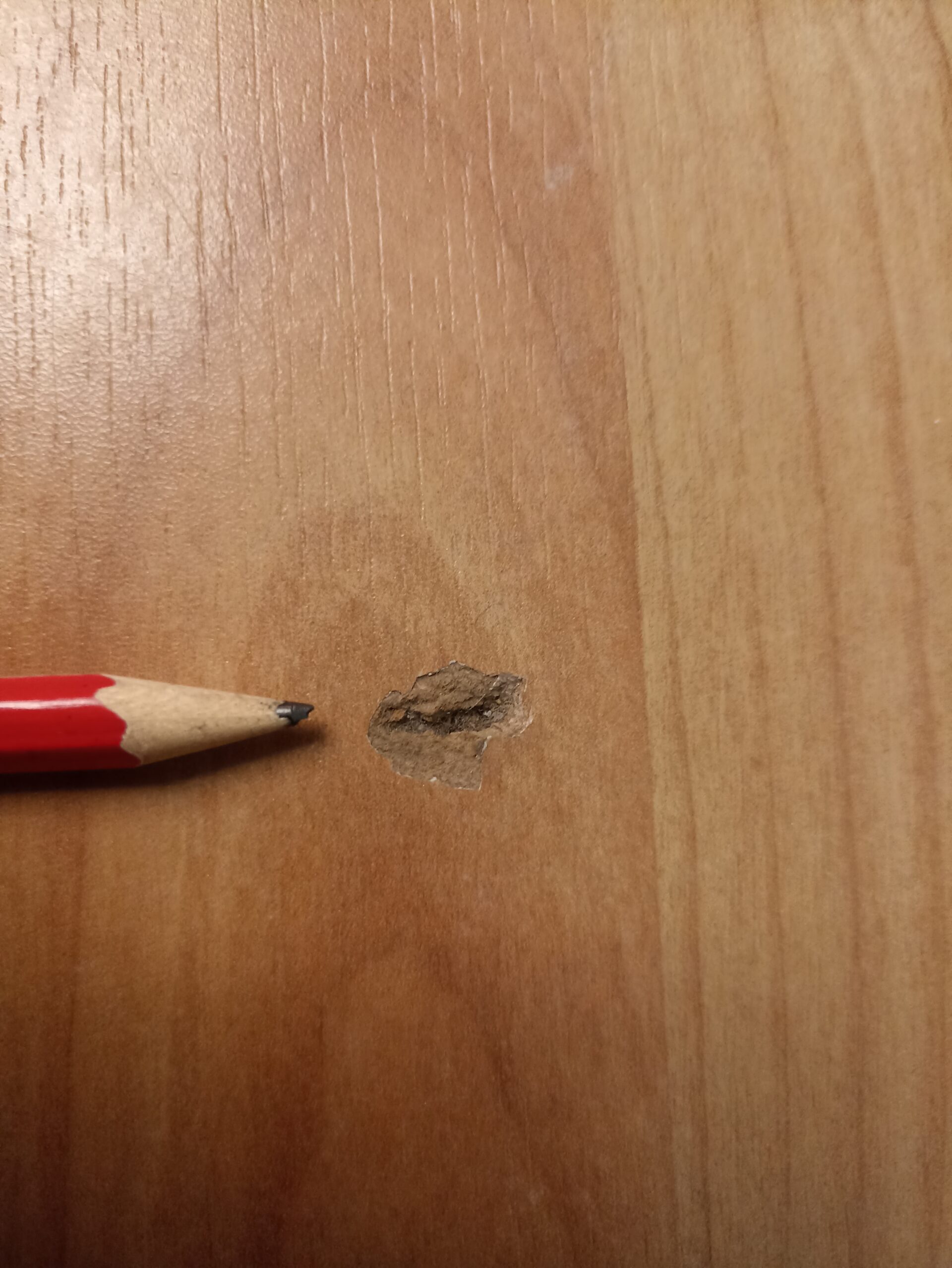 Riparazione parquet laminato Far da sé Artigiani del tempo libero